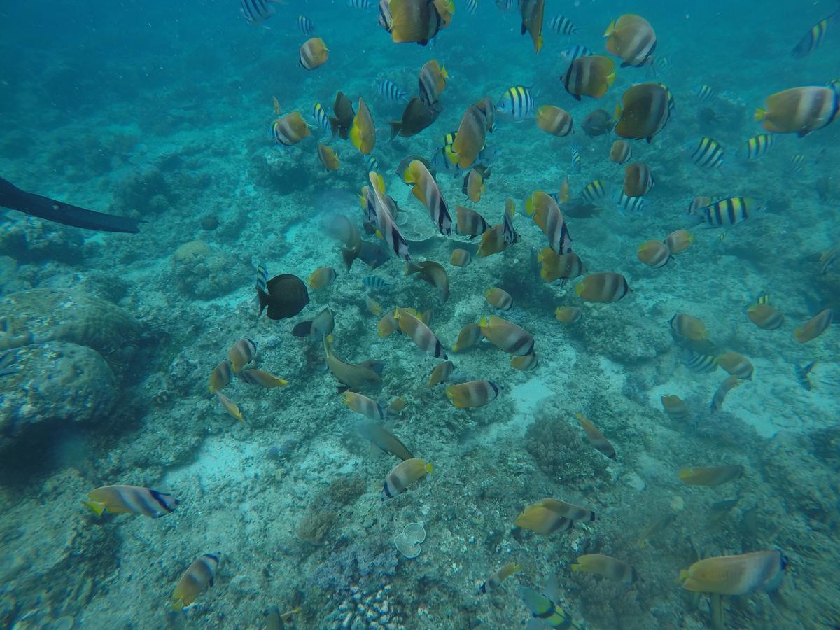 Meisya Cottage Gili Trawangan Kültér fotó